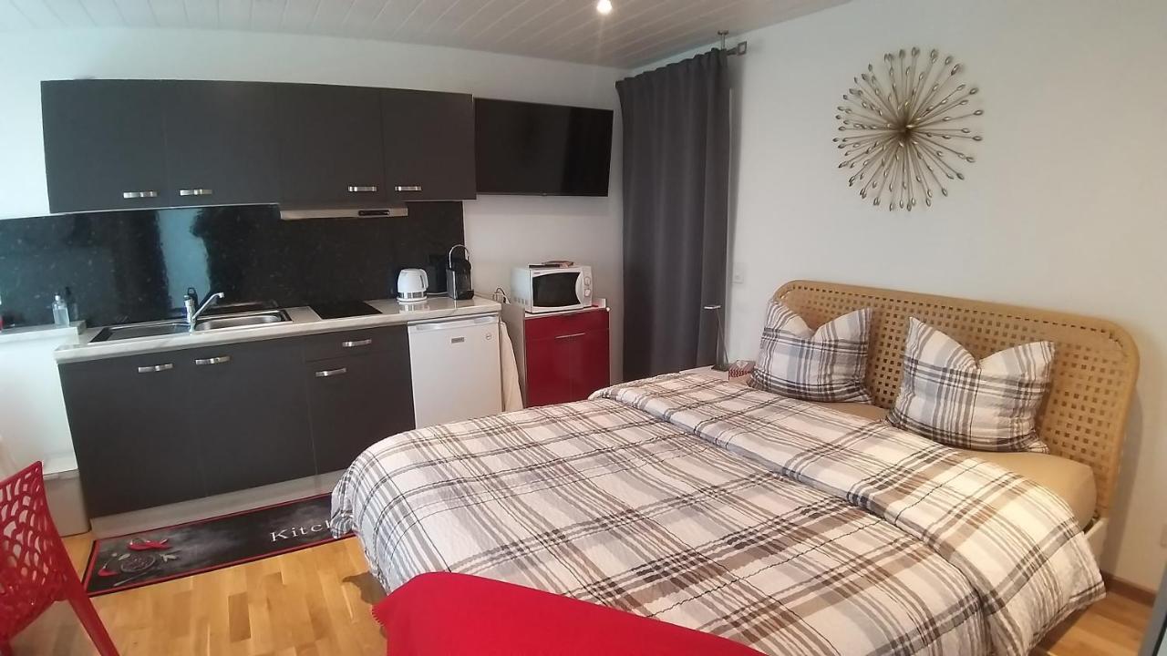 Beau Studio Avec Terrasse Et Vue Exclusivement Pour Non Fumeurs Belmont-sur-Lausanne Kültér fotó