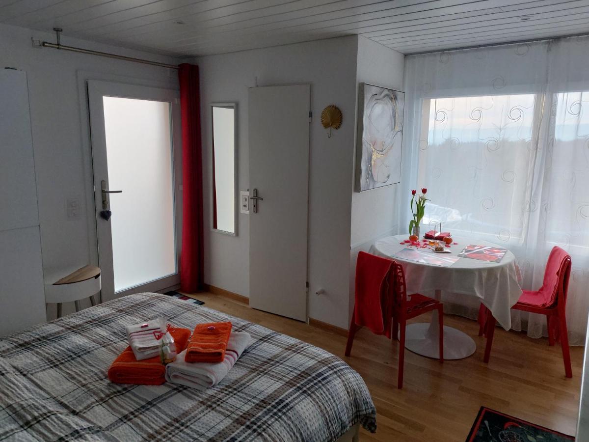 Beau Studio Avec Terrasse Et Vue Exclusivement Pour Non Fumeurs Belmont-sur-Lausanne Kültér fotó